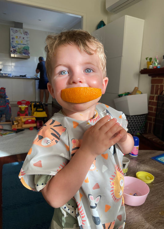 Short Sleeve Smock - Wild Plains (2+)