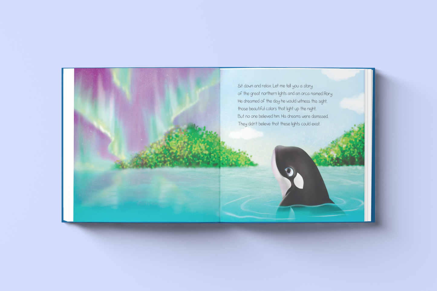 Rory, Quest for the Northern Lights Children's Book