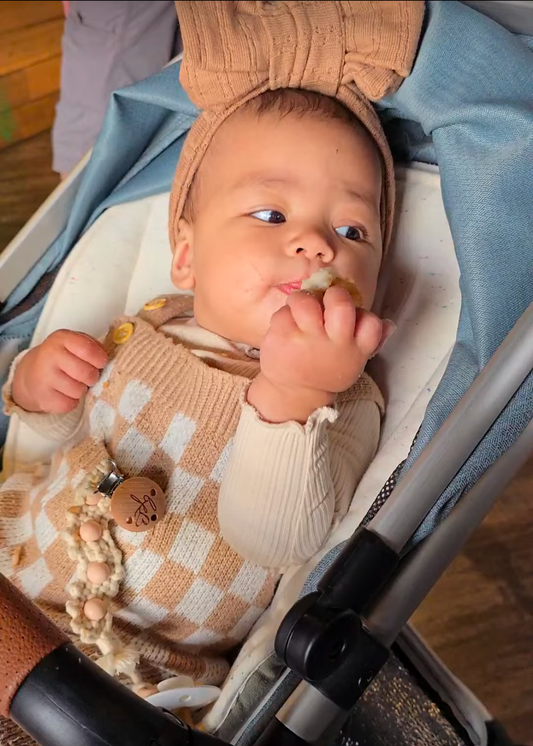 Beechwood Dummy Clip