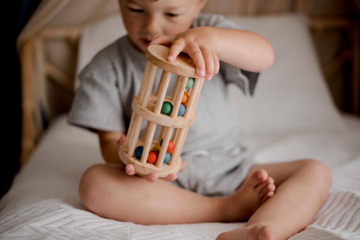 Wooden Rainmaker Toy