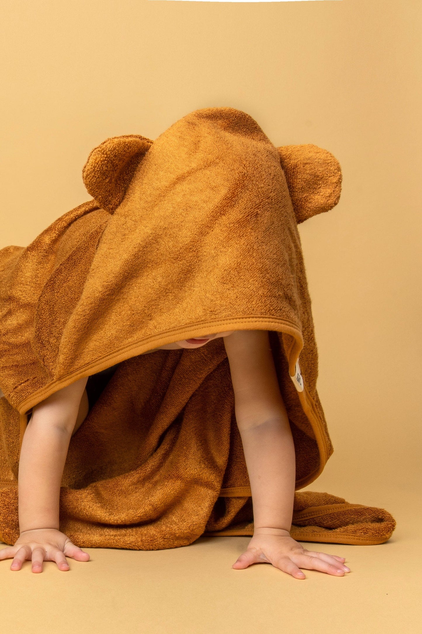 Premium Hooded Towel