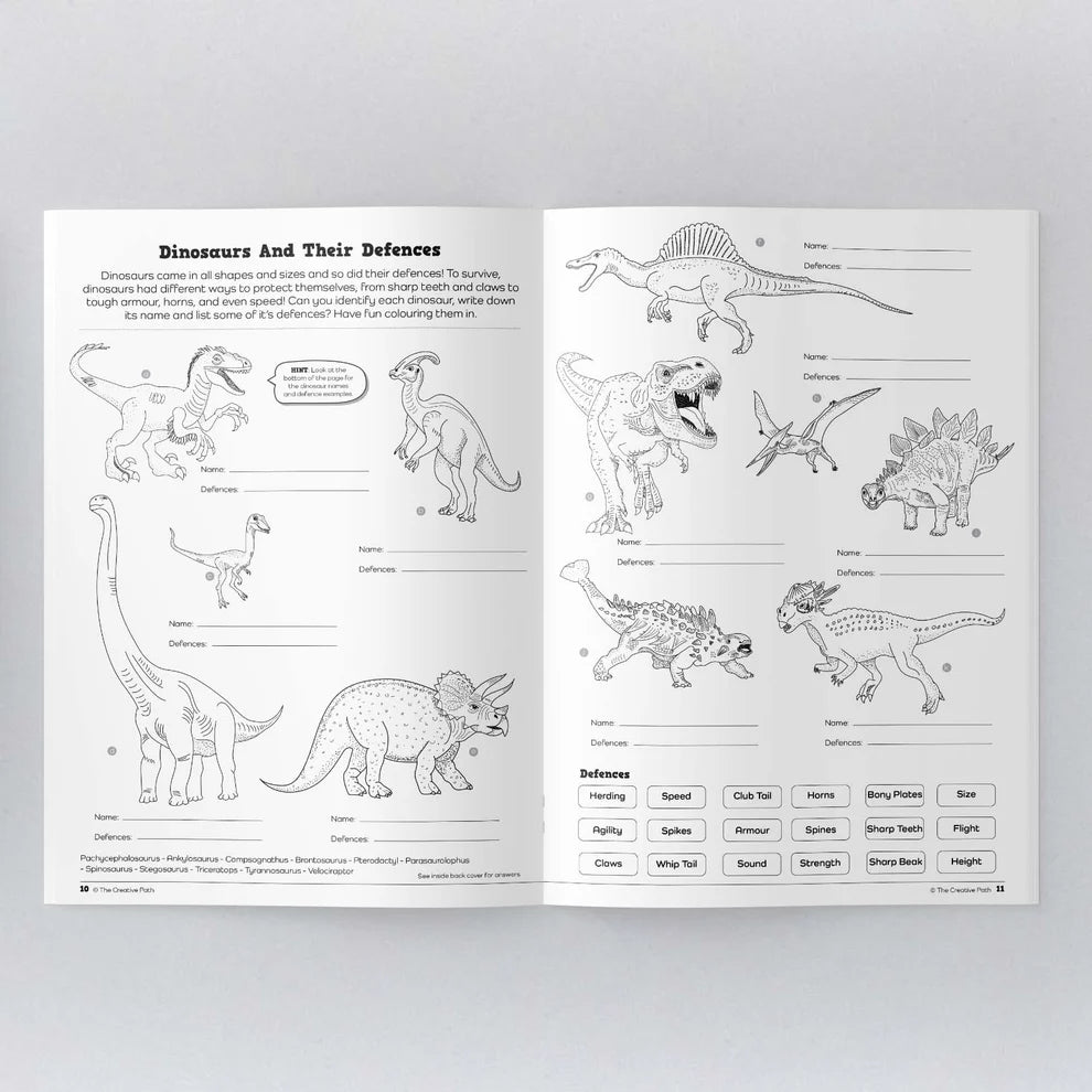 Dinosaur Activity Book