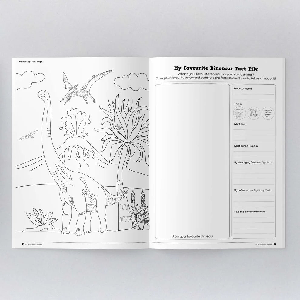 Dinosaur Activity Book