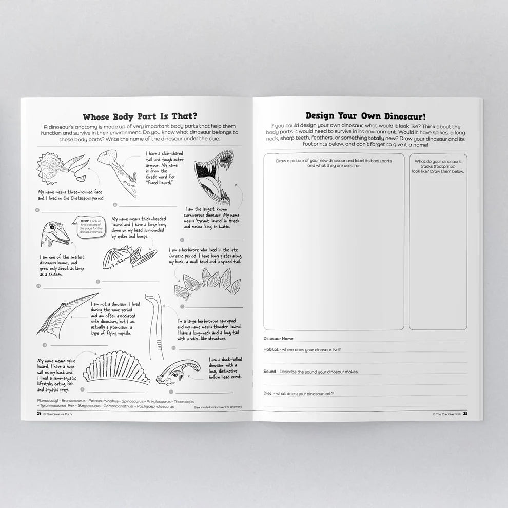 Dinosaur Activity Book