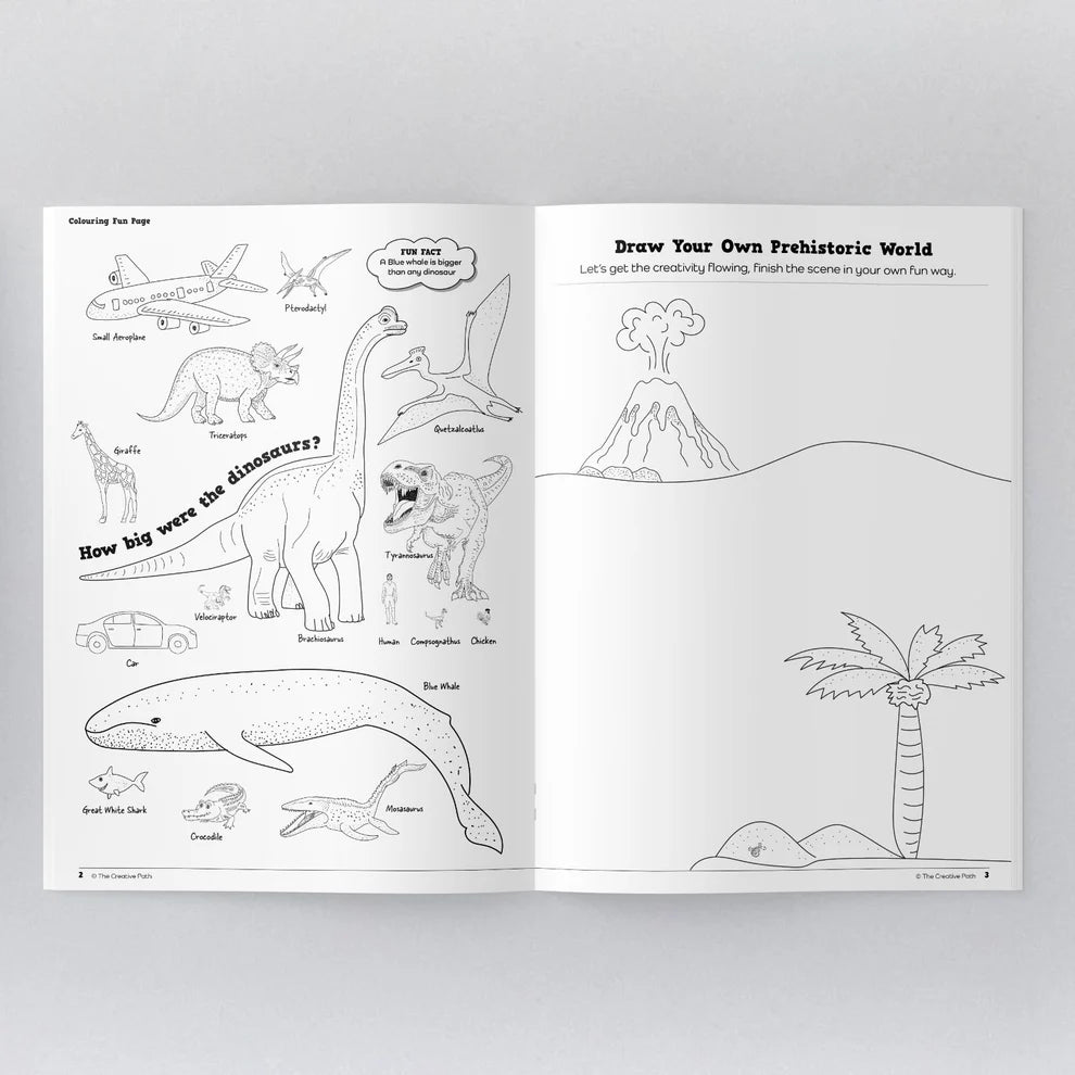 Dinosaur Activity Book