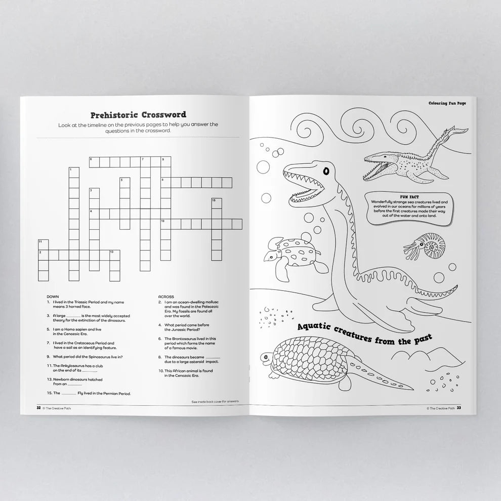 Dinosaur Activity Book
