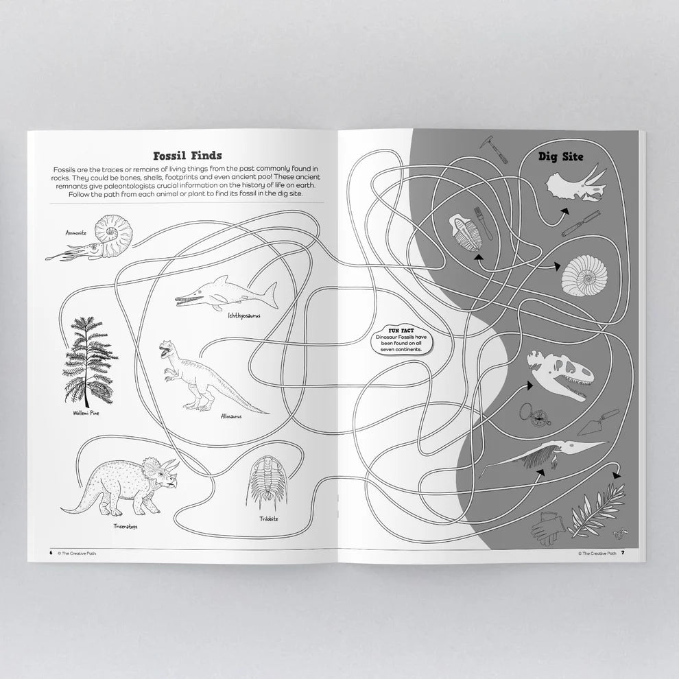 Dinosaur Activity Book