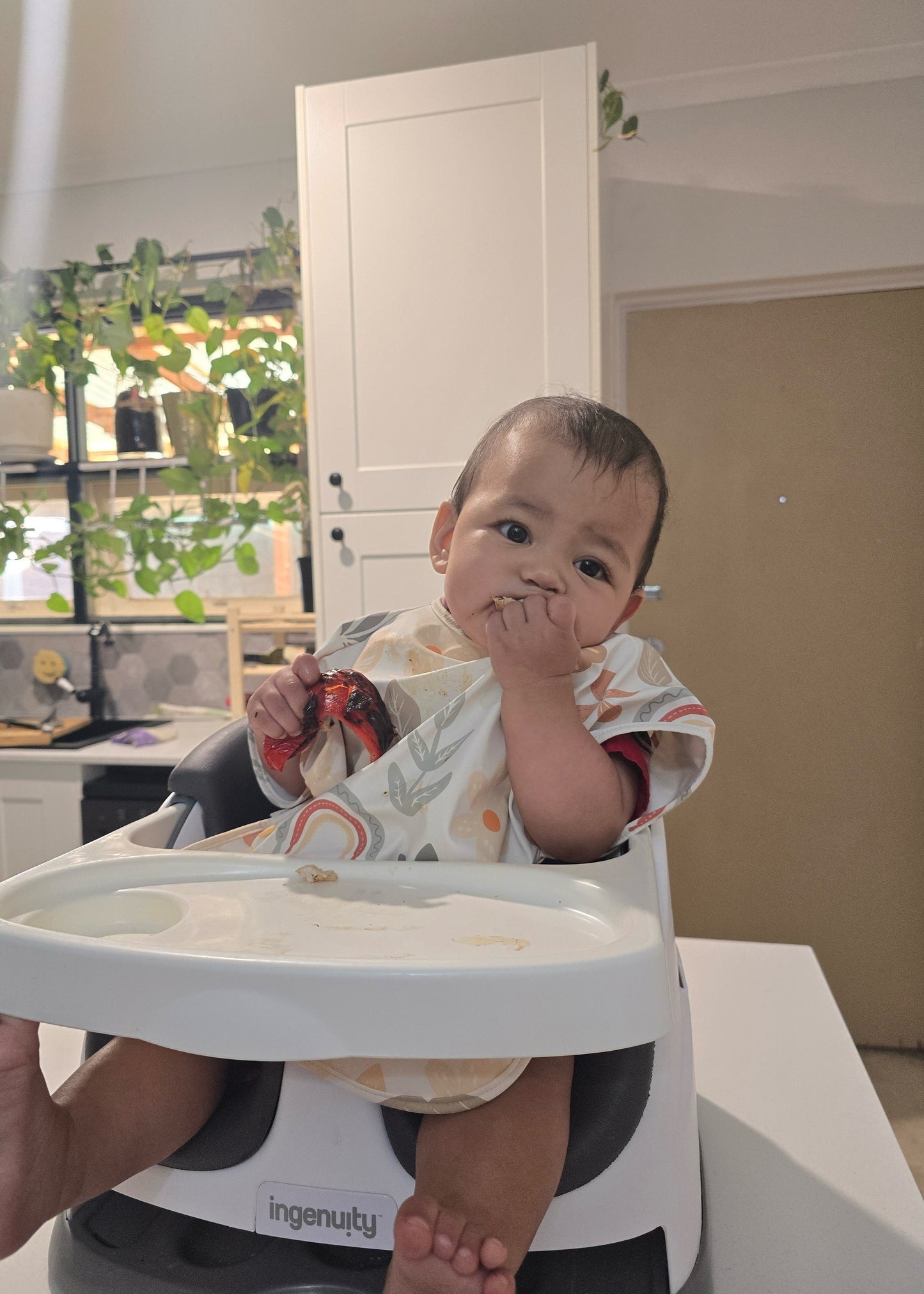 Short Sleeve Smock - Earth and Petals Luxe (Infant)
