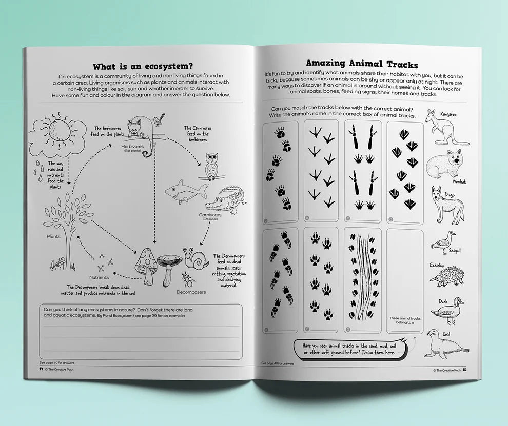 Nature Activity Book