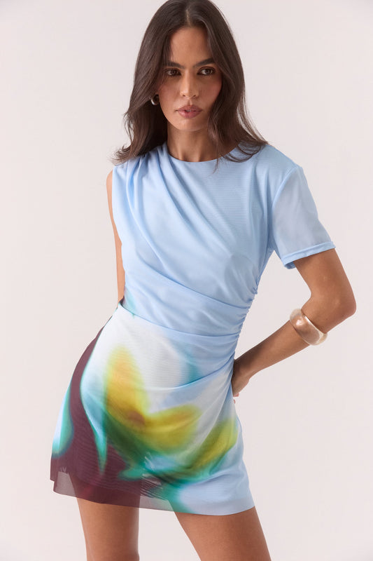 Zinnia Mesh Mini Dress