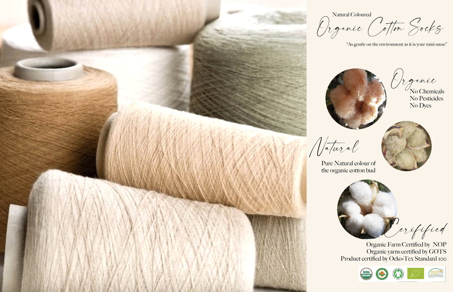 Organic Cotton Socks