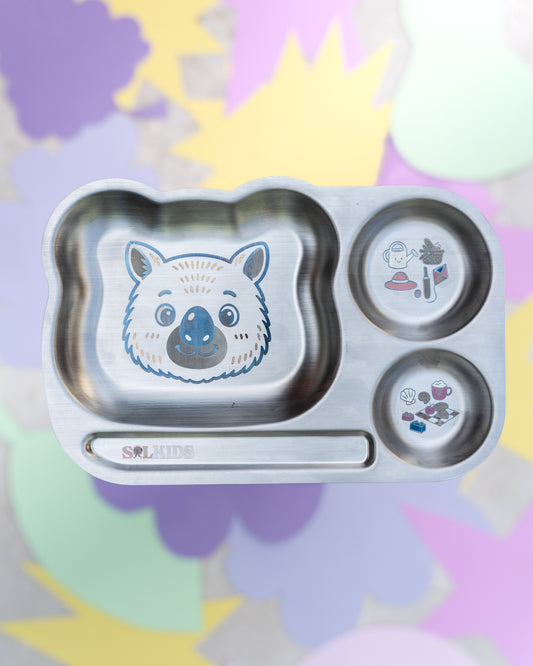 Divided Stainless Steel Kids Plate