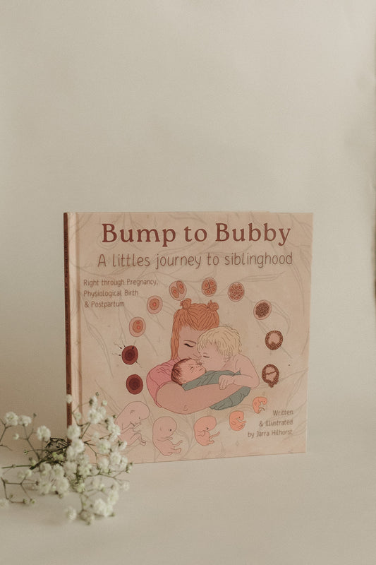 Bump to Bubby Book: A Little’s Journey to Siblinghood