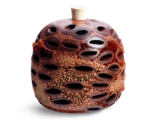 Banksia Pod Diffuser